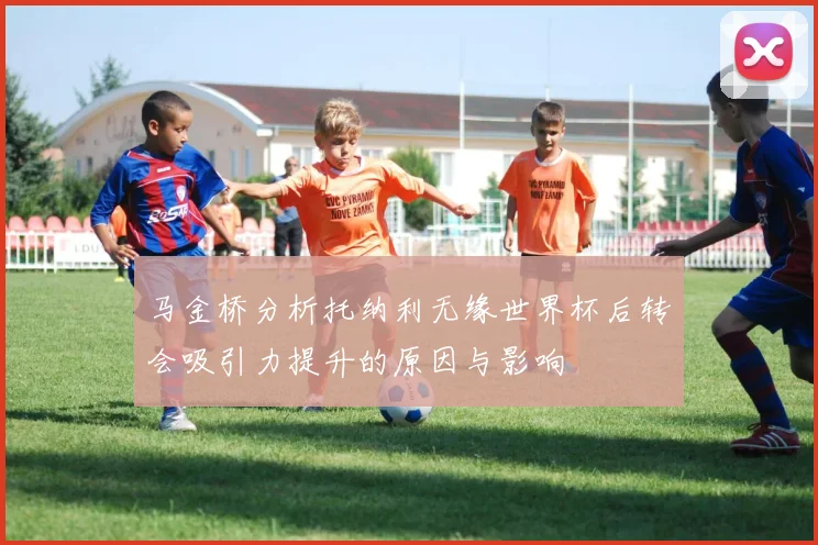 马金桥分析托纳利无缘世界杯后转会吸引力提升的原因与影响