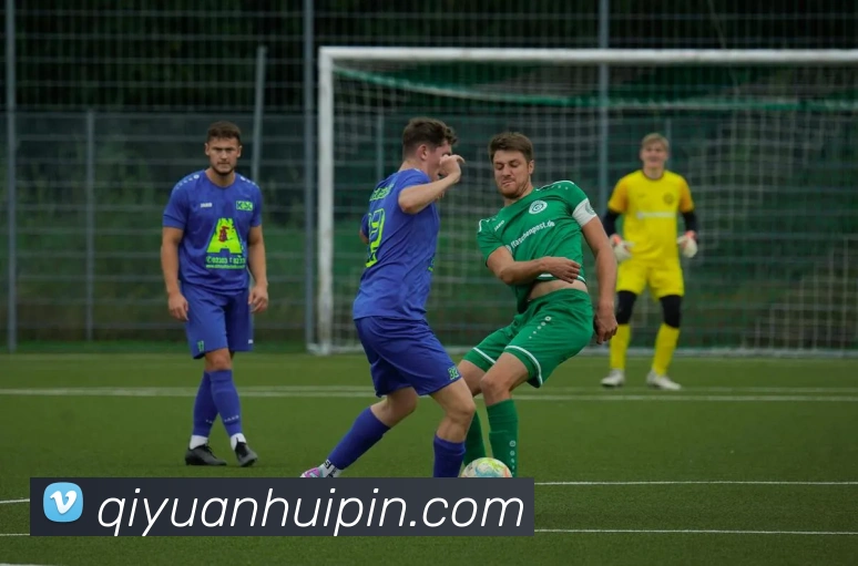 多媒体互动体验